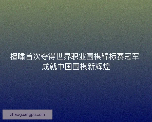 檀啸首次夺得世界职业围棋锦标赛冠军 成就中国围棋新辉煌