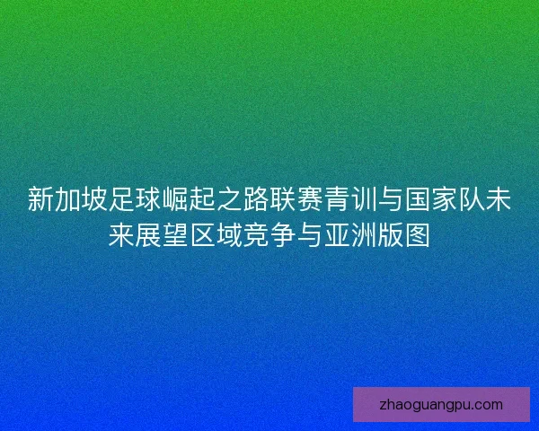 新加坡足球崛起之路联赛青训与国家队未来展望区域竞争与亚洲版图 新加坡足球崛起之路联赛青训与国家队未来展望区域竞争与亚洲版图