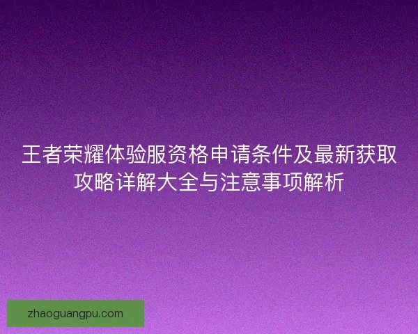 王者荣耀体验服资格申请条件及最新获取攻略详解大全与注意事项解析 王者荣耀体验服资格申请条件及最新获取攻略详解大全与注意事项解析