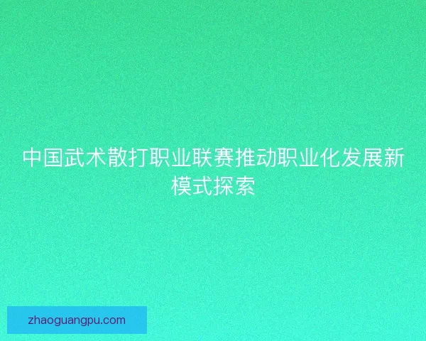 中国武术散打职业联赛推动职业化发展新模式探索 中国武术散打职业联赛推动职业化发展新模式探索